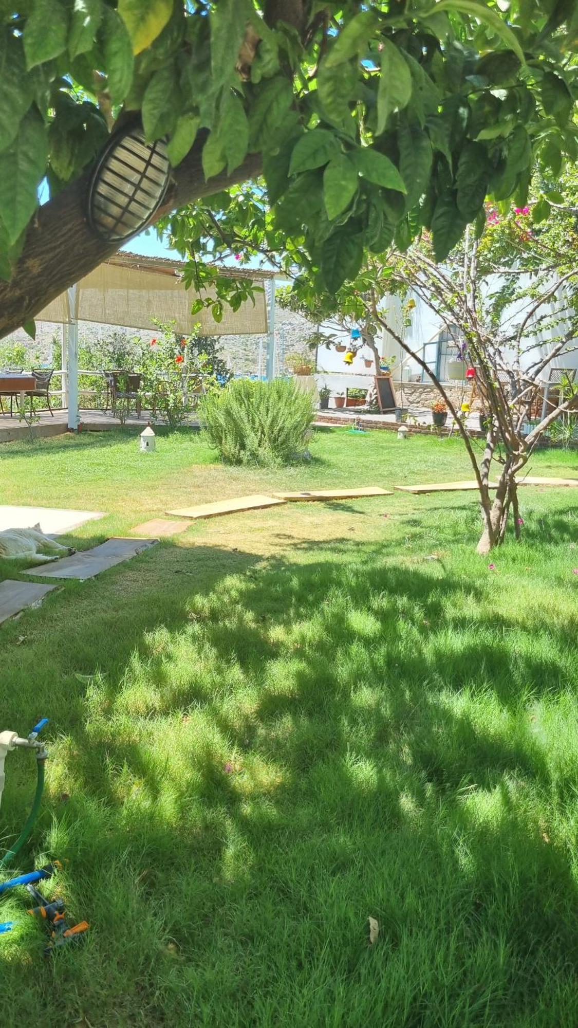 Lemon Garden Boutique Hotel Bozburun Kültér fotó